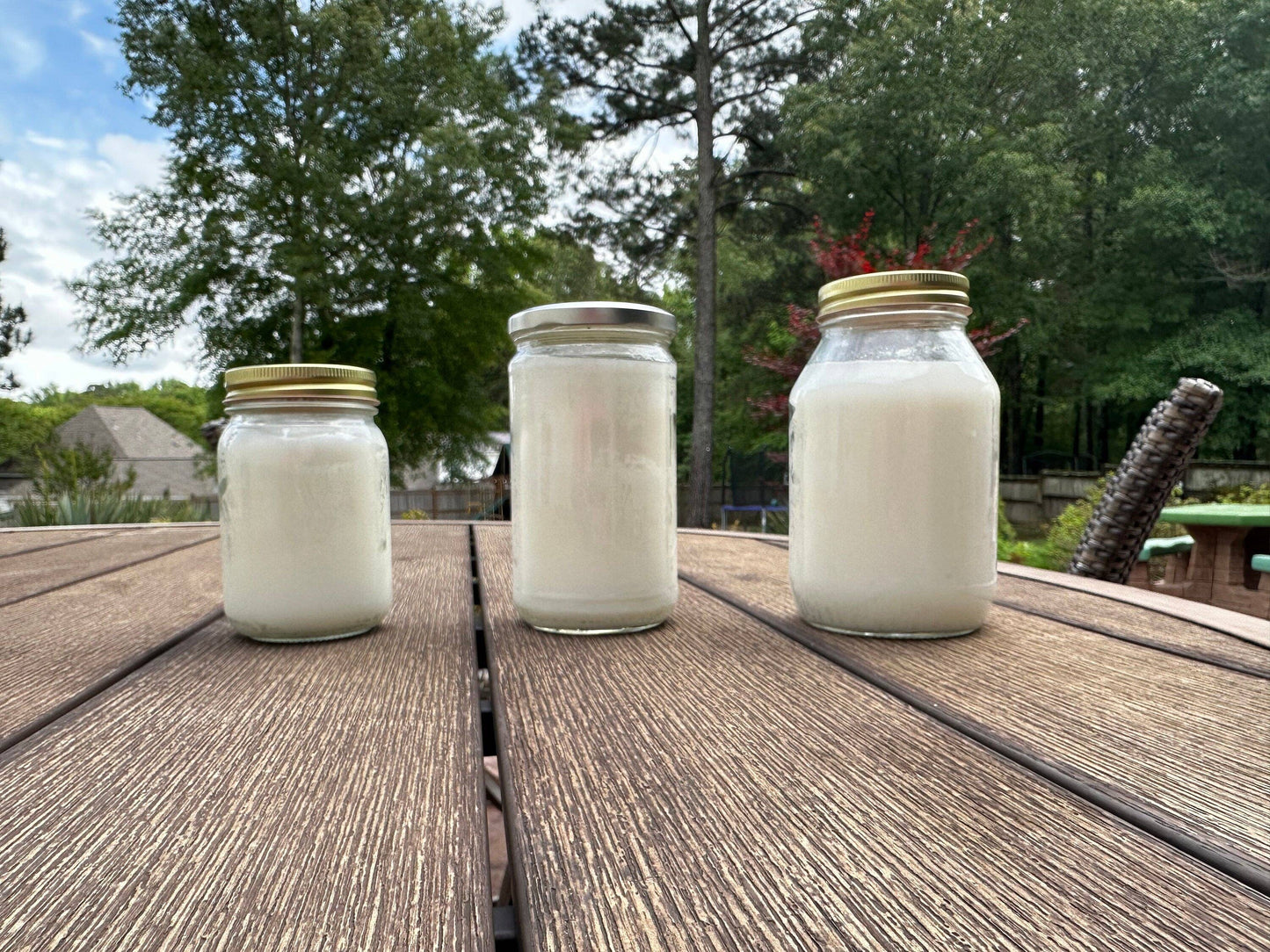 Premium Quality Grass-Fed Beef Tallow (24oz)