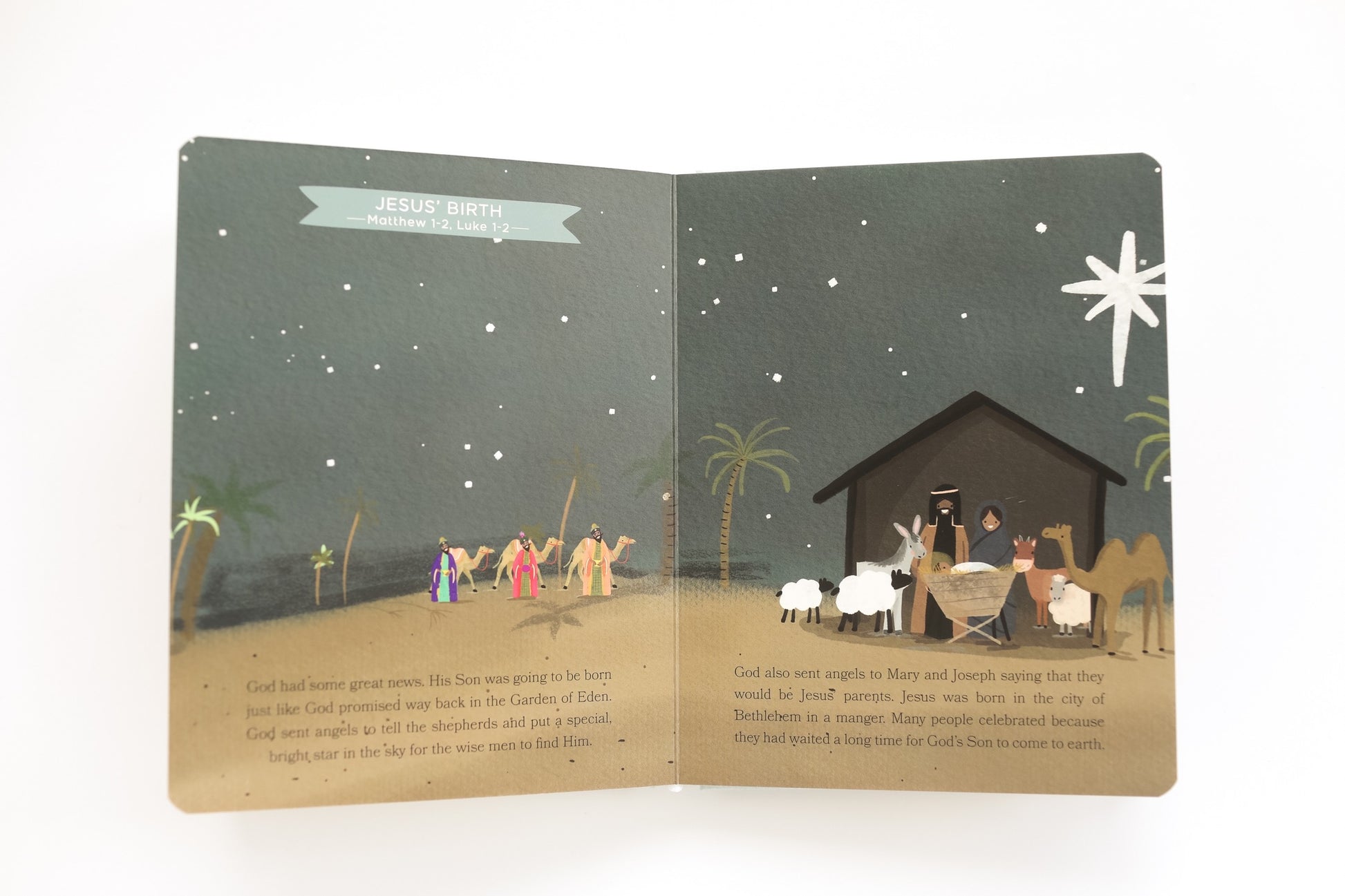 Bible Stories for Little Ones: Baby's First Bible Board Book image 4